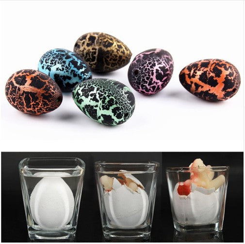 Hatch Your Own Dinosaur Eggs !  A black fissure dinosaur hatched eggs to deform dinosaur eggs Gender: Unisex